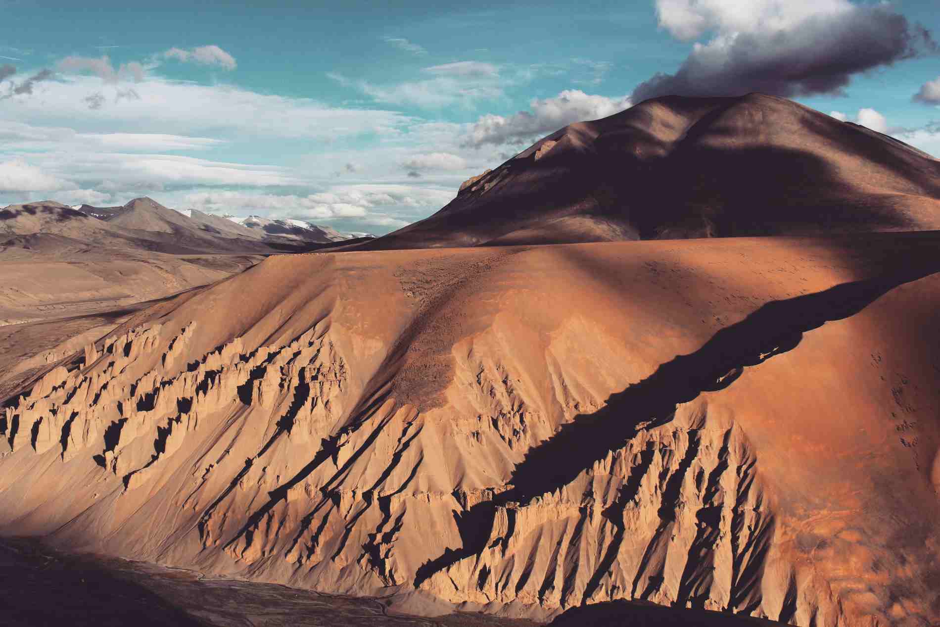 Ladakh Nature